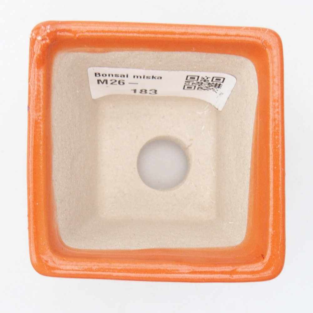 Mini bonsaischaal 6 x 6 x 5 cm, oranje