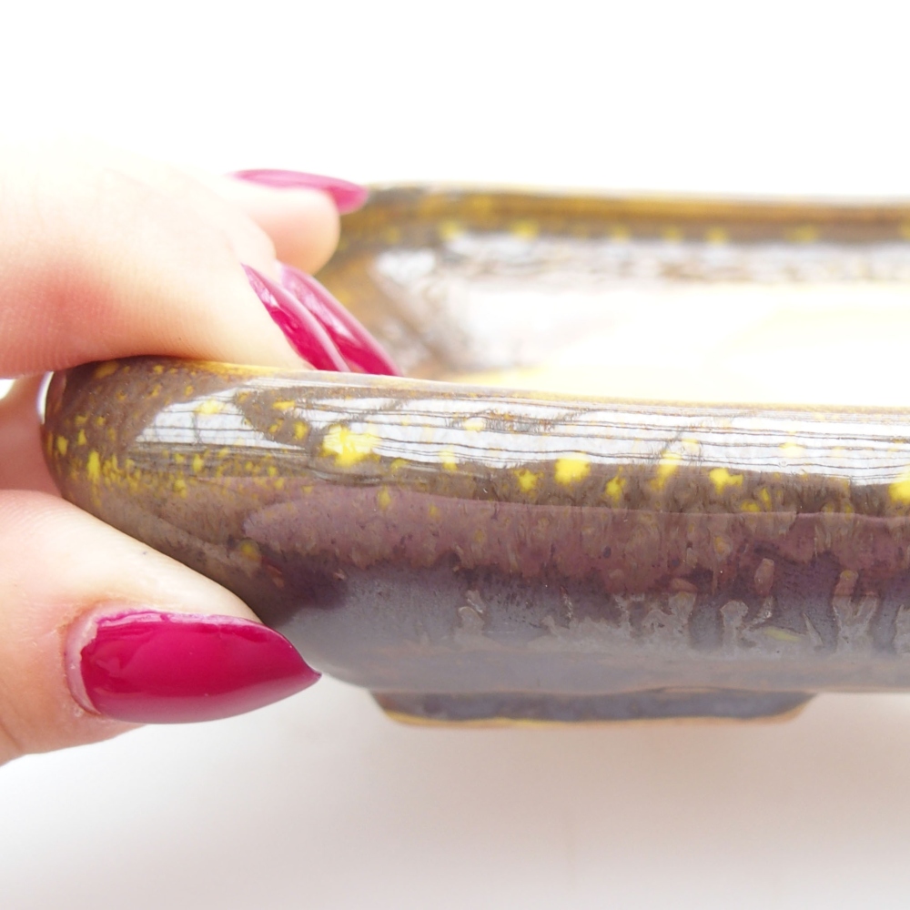 Bonsaischaal van keramiek 17 x 14 x 3,5 cm, geel