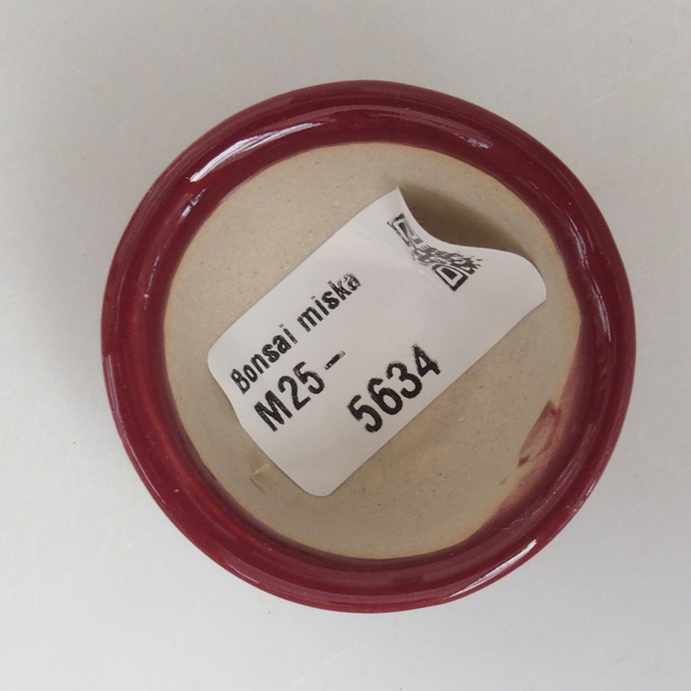 Mini bonsaischaal 4,5 x 4,5 x 2,5 cm, bordeauxrood