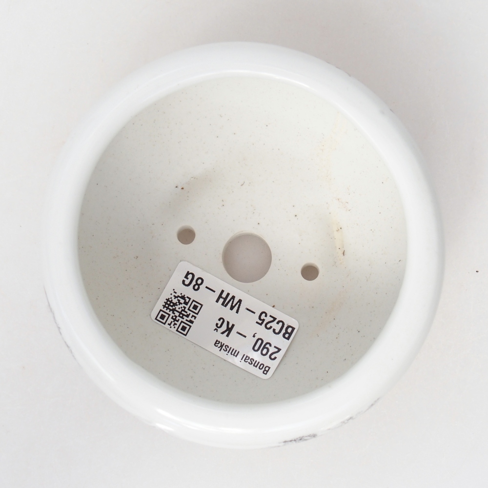 Bonsaischaal van keramiek 10 x 10 x 5 cm, kleur wit