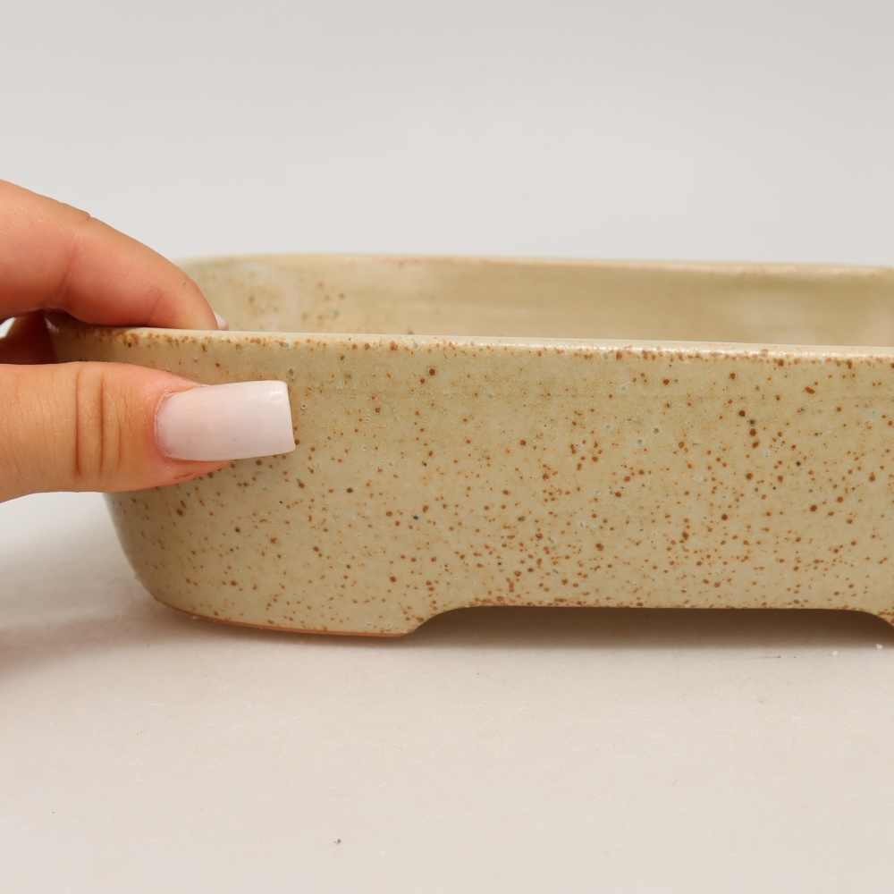Keramische bonsaipot 23 x 18 x 5,5 cm, kleur: beige