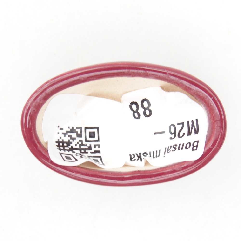 Mini bonsaischaal 4 x 2,5 x 2 cm, bordeauxrood