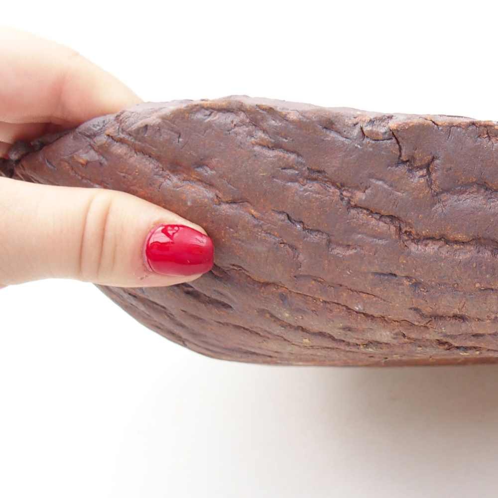 Keramisch Schelp 31 x 21 x 7,5 cm , kleur bruin