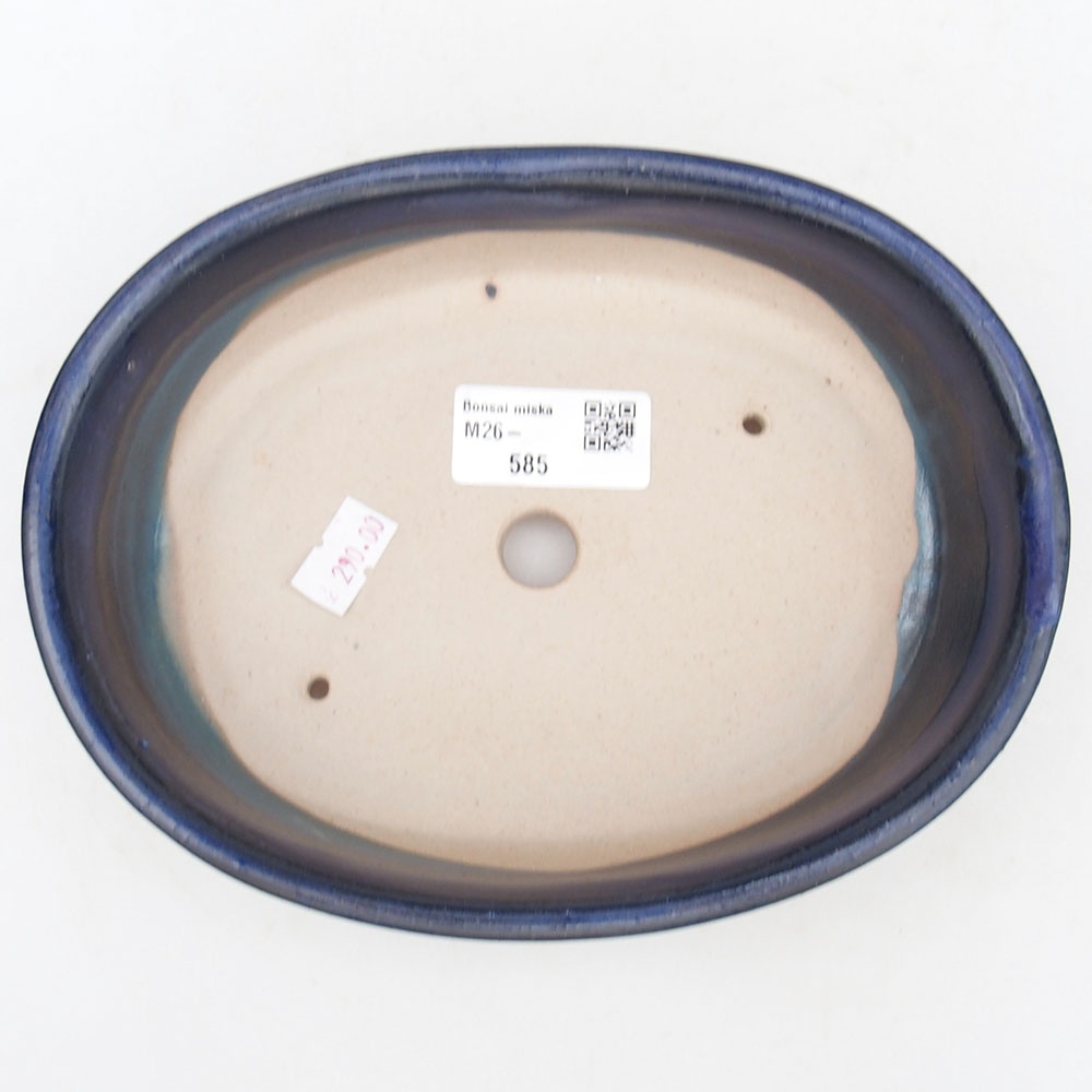 Bonsaischaal van keramiek 19 x 14 x 5 cm, kleur blauw
