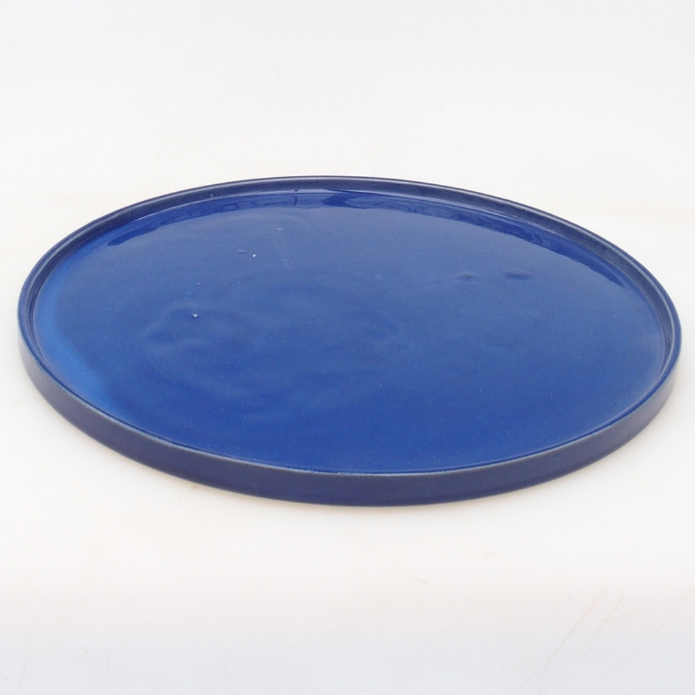 Ronde Bonsai Container D7-L - 28 x 28 x 1,5 cm - blauw