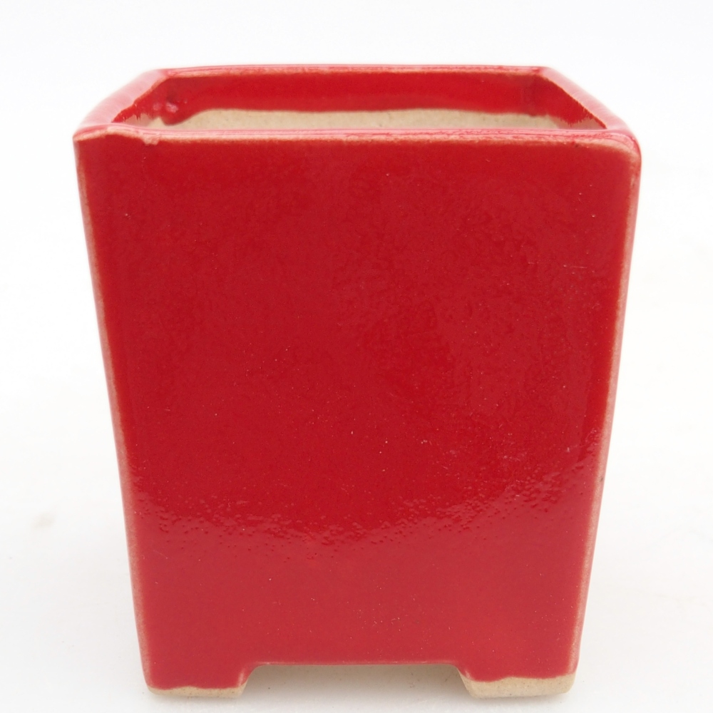 Mini bonsaischaal 5,5 x 5,5 x 6,5 cm, kleur rood