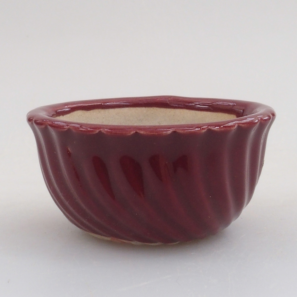 Mini bonsaischaal 5 x 5 x 2,5 cm, kleur bordeauxrood