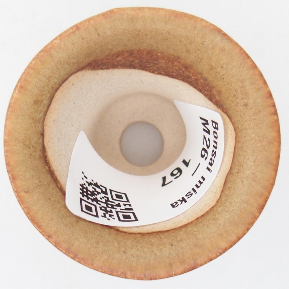 Mini bonsaischaal 4,5 x 4,5 x 4 cm, bruin