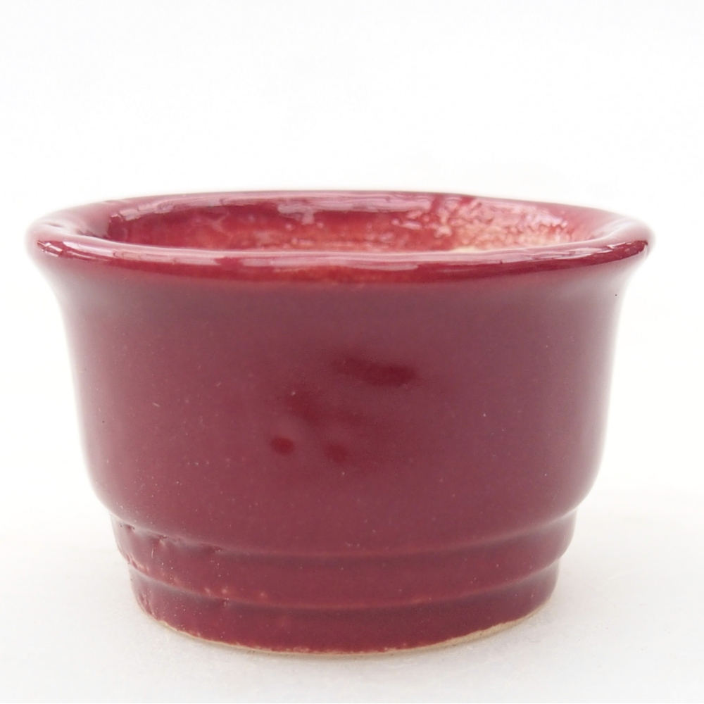 Mini bonsaischaal 4 x 4 x 2 cm, bordeauxrood