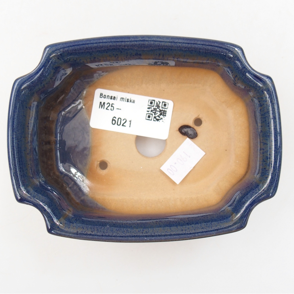 Bonsaischaal van keramiek 22 x 17 x 5 cm, groen