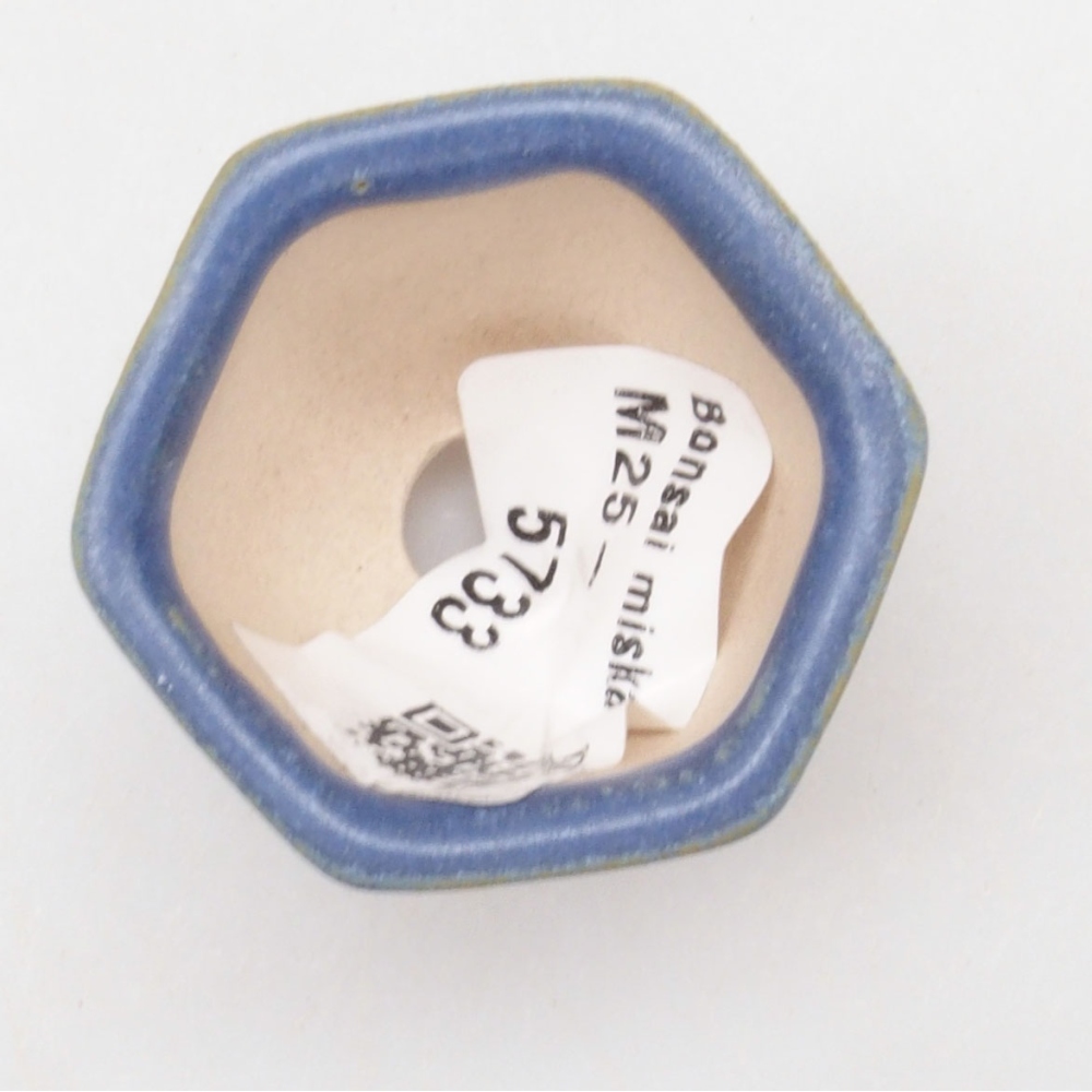 Mini bonsaischaal 4 x 3,5 x 3 cm, kleur blauw