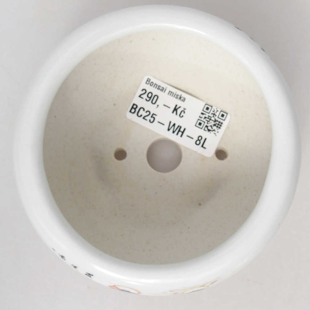Bonsaischaal van keramiek 10 x 10 x 5 cm, kleur wit