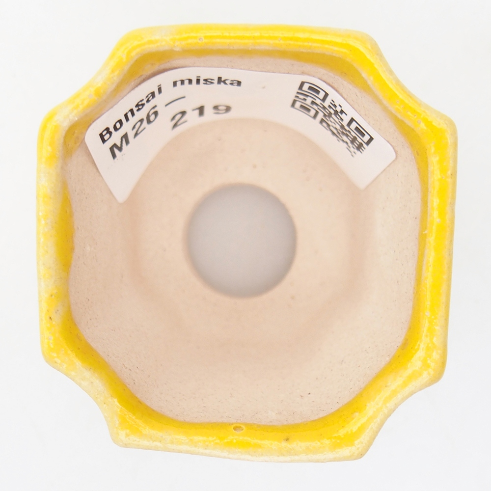 Mini bonsaischaal 4,5 x 4,5 x 4 cm, geel