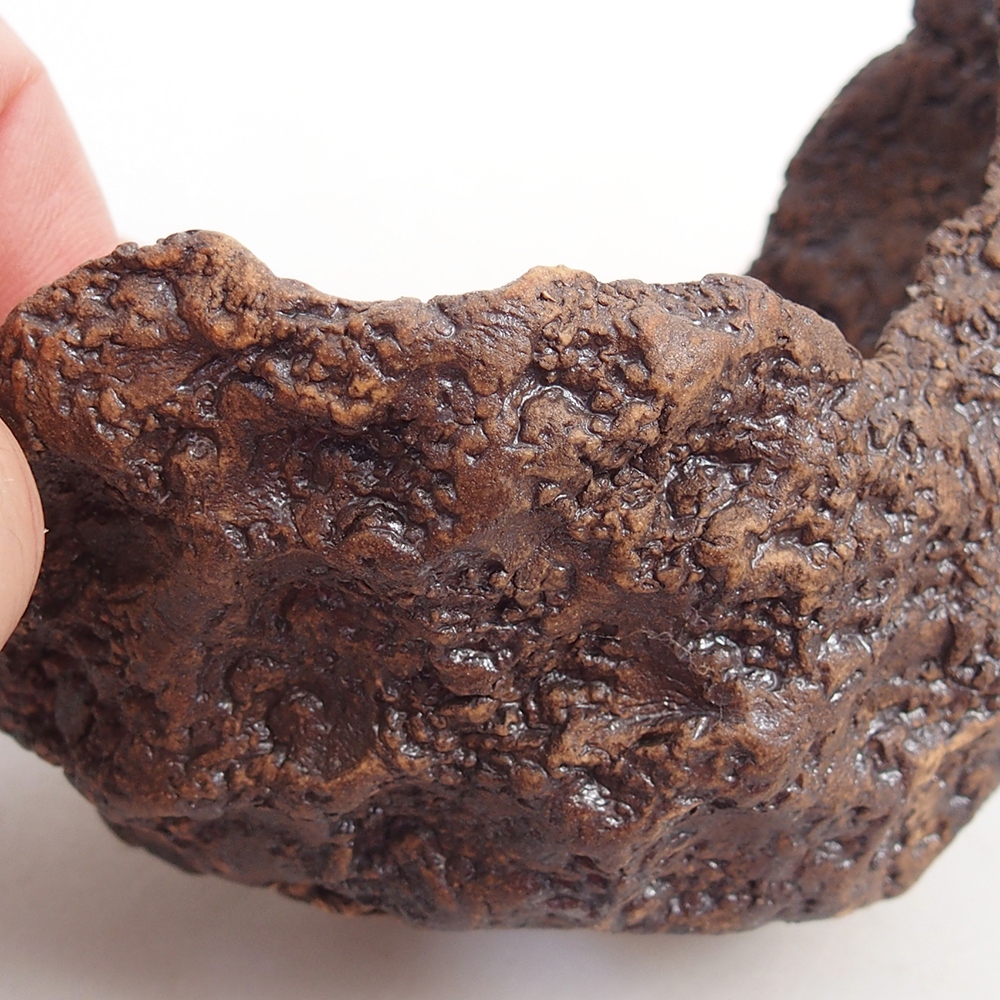 Keramisch Schelp 10 x 8 x 9,5 cm , kleur bruin