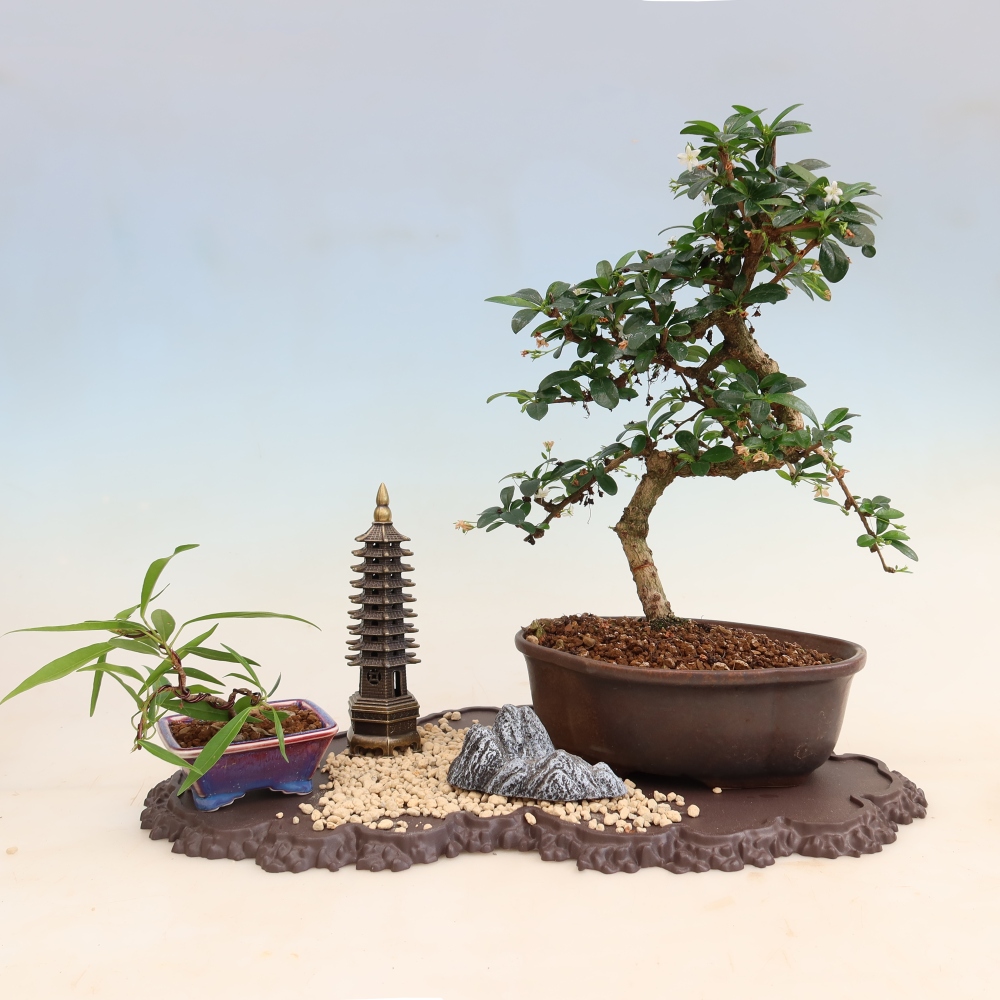 Kunststof voetstuk voor bonsai, 43 x 25 x 1,5 cm, kleur: bruin