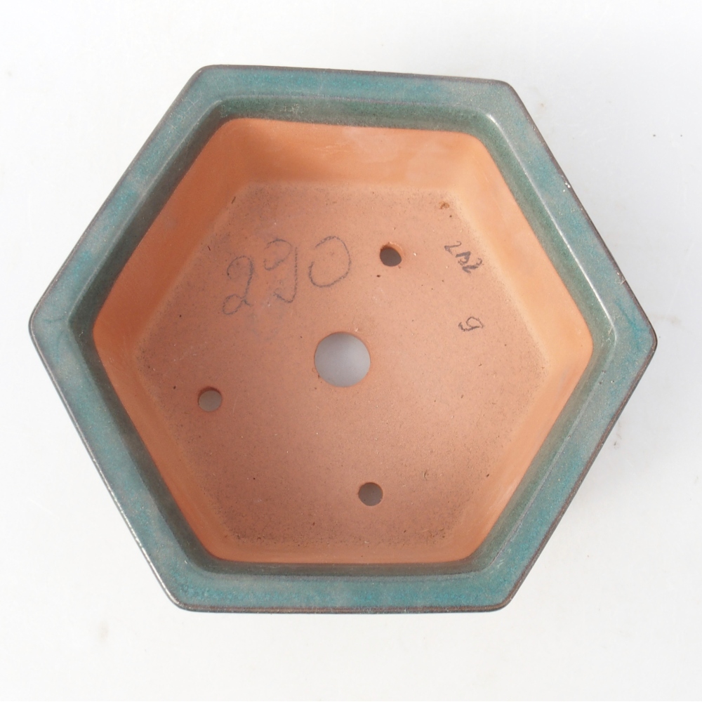 Kom 17 x 15 x 6 cm groen