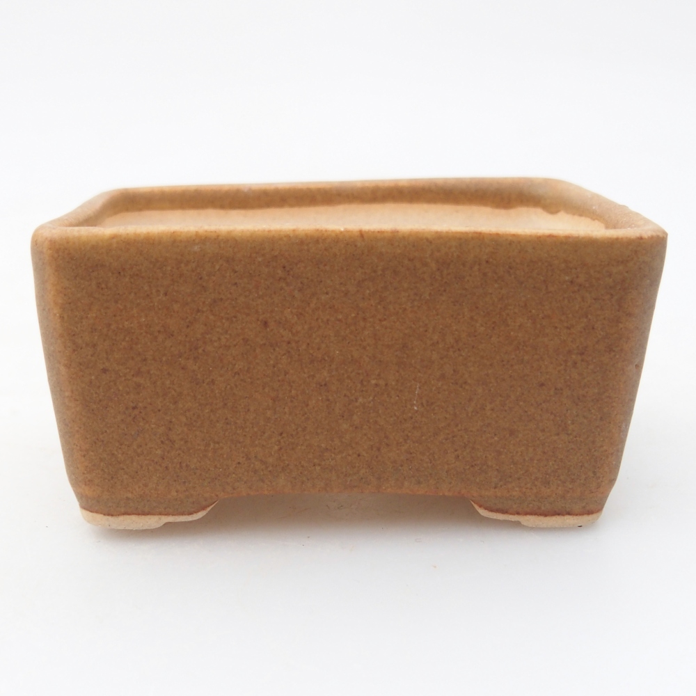 Mini bonsaischaal 7 x 5 x 3,5 cm, bruin