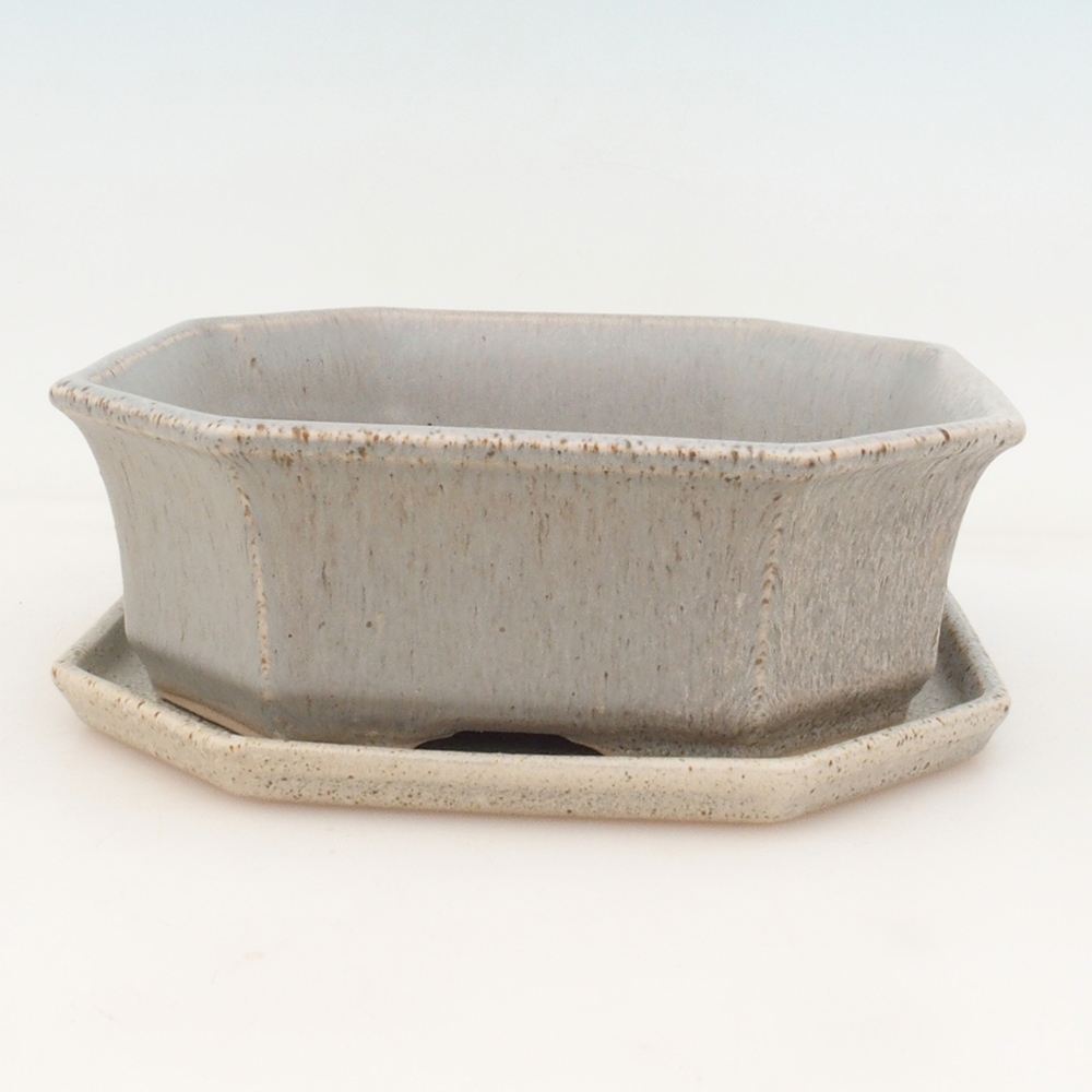 Bonsai kom + schotel H14 - beige