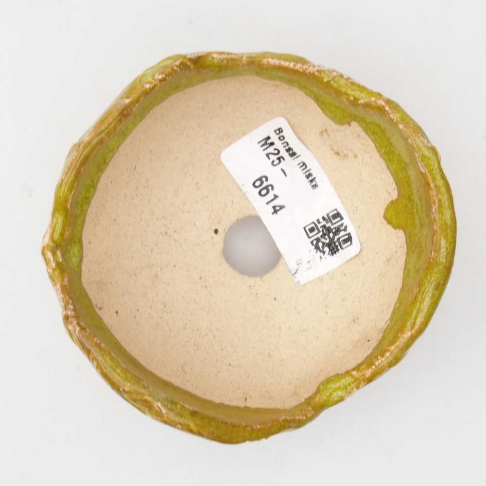 Keramisch Schelp 9 x 8,5 x 5,5 cm , kleur groen