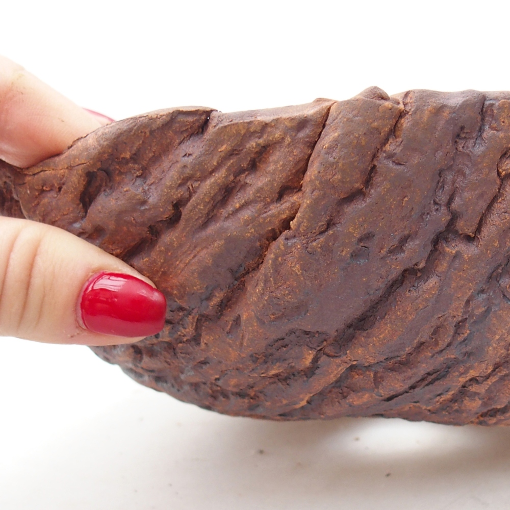 Keramisch Schelp 18,5 x 18,5 x 8 cm , kleur bruin