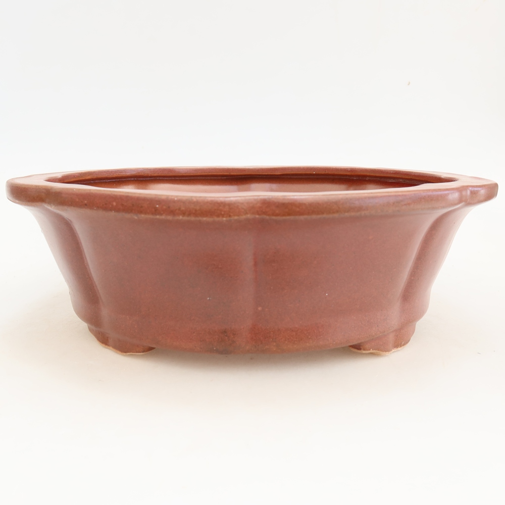 Bonsaischaal van keramiek 26 x 26 x 8 cm, bordeauxrood