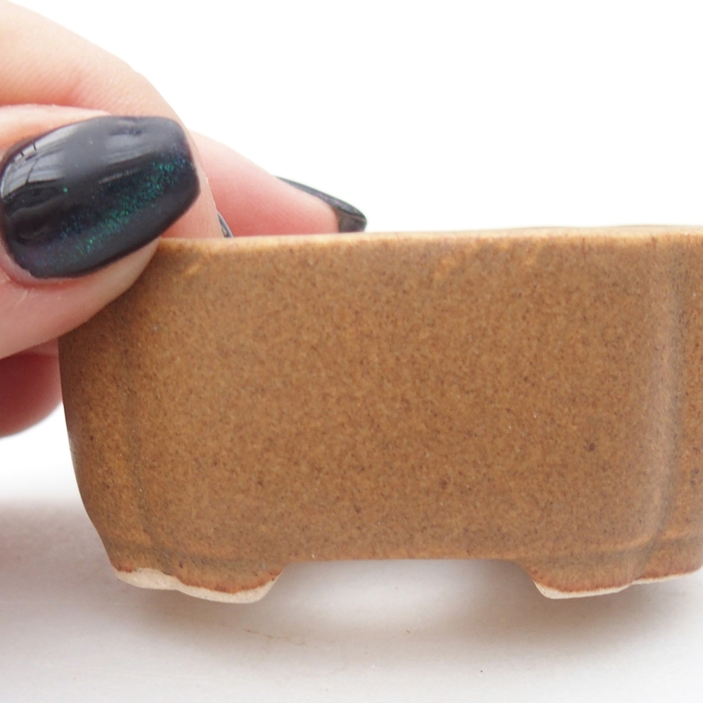 Mini bonsaischaal 6 x 5 x 3 cm, bruin