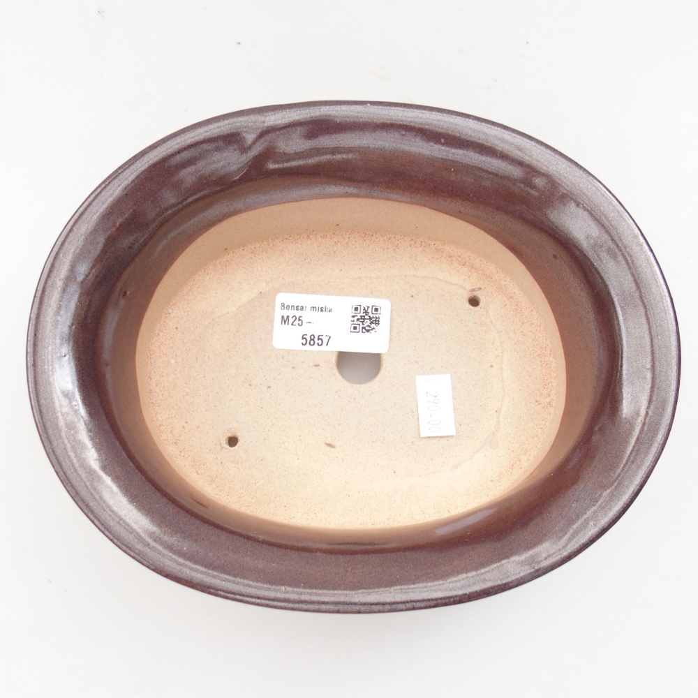 Bonsaischaal van keramiek 22 x 17 x 5 cm, groen