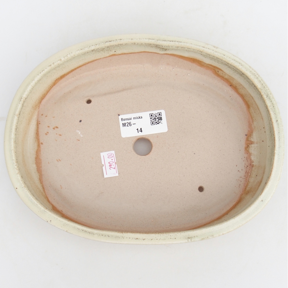 Bonsaischaal van keramiek 22,5 x 17 x 4,5 cm, groen