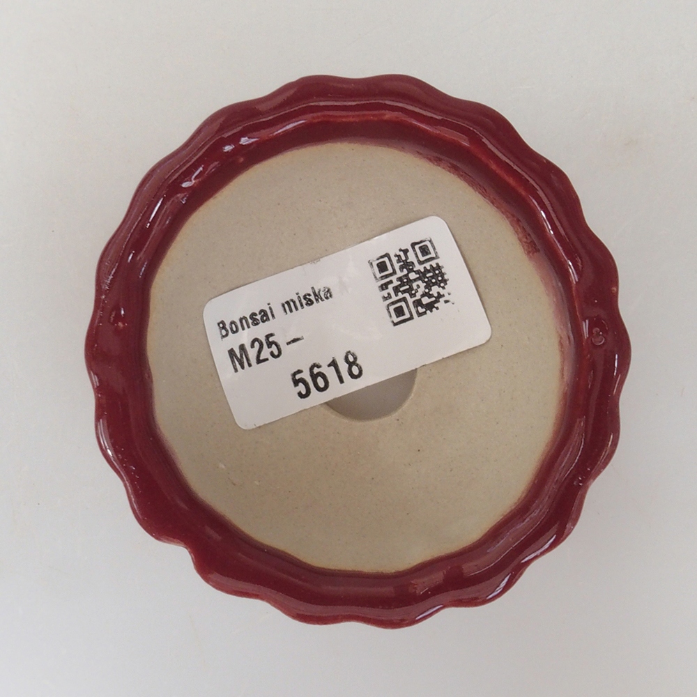 Mini bonsaischaal 6,5 x 6,5 x 3,5 cm, bordeauxrood