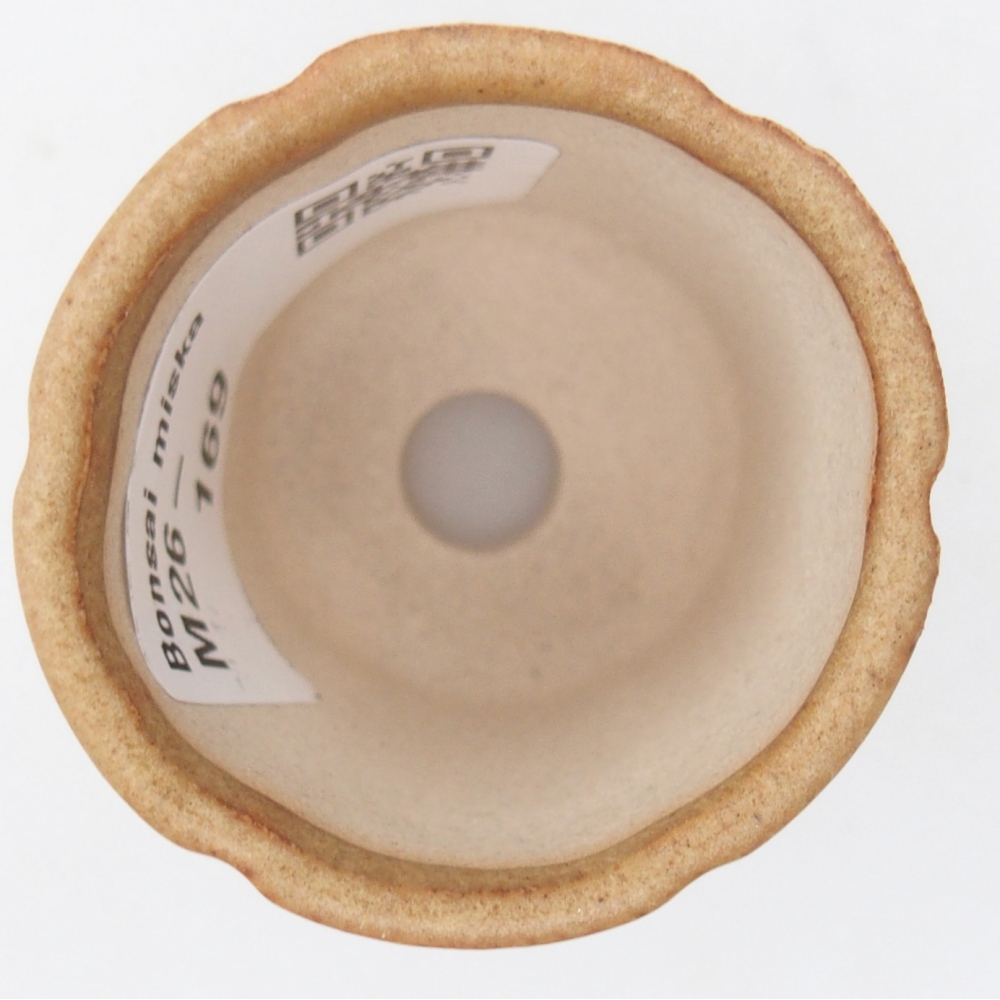 Mini bonsaischaal 4 x 4 x 4,5 cm, bruin