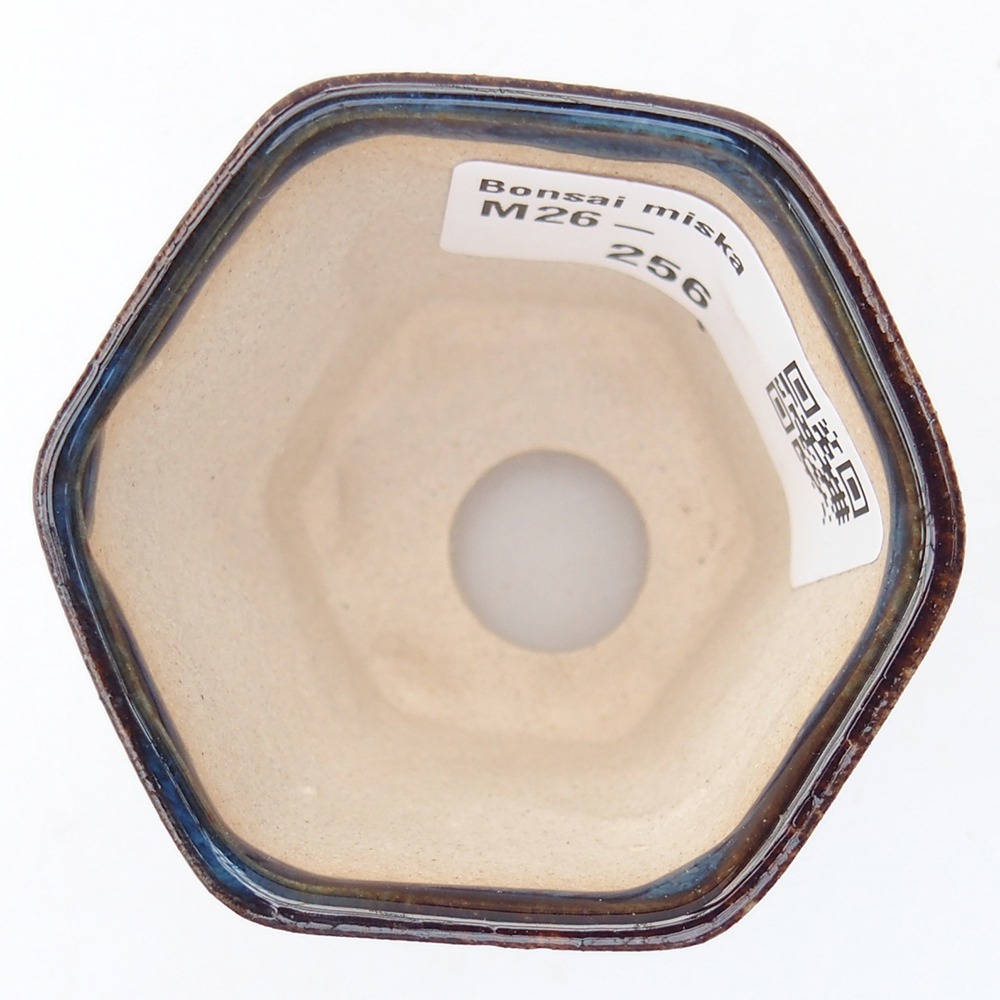 Mini bonsaischaal 5,5 x 5 x 5 cm, kleur blauw