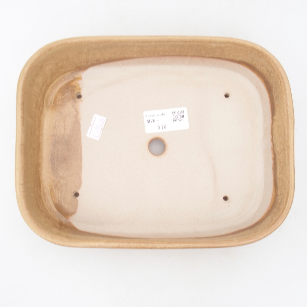 Bonsaischaal van keramiek 22,5 x 17 x 6 cm, kleur beige
