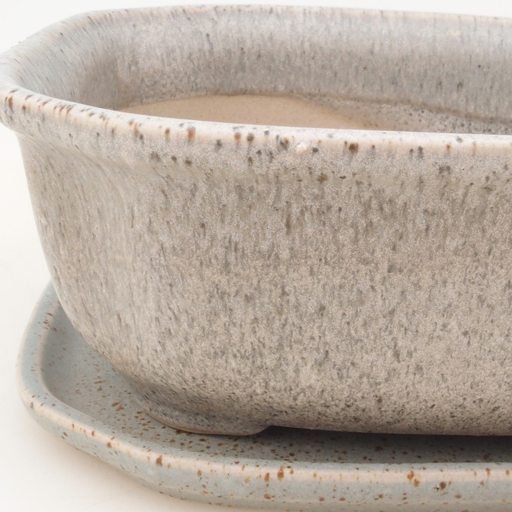 Bonsai kom + schotel H31 - beige