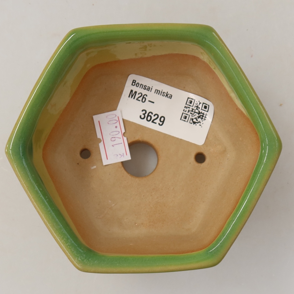 Bonsaischaal van keramiek 10 x 9 x 5 cm, groen
