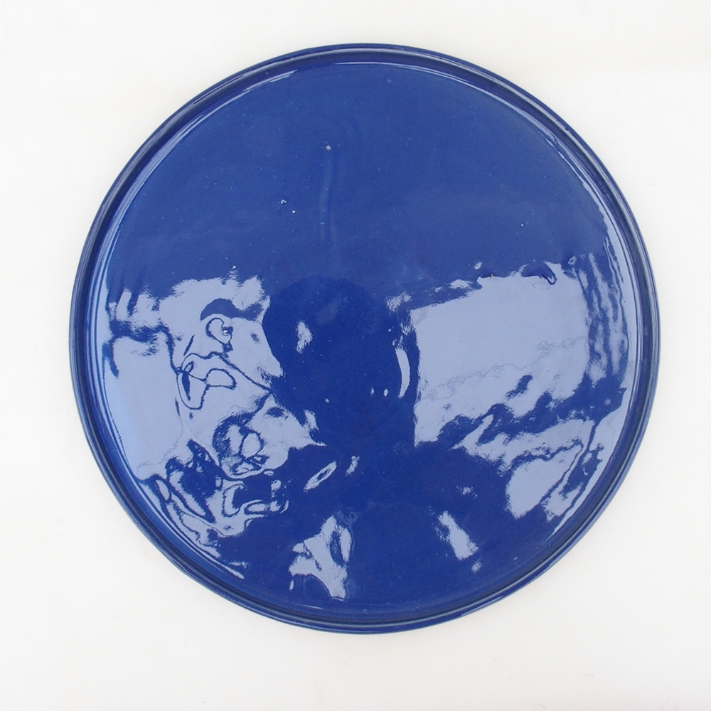 Ronde Bonsai Container D7-L - 28 x 28 x 1,5 cm - blauw