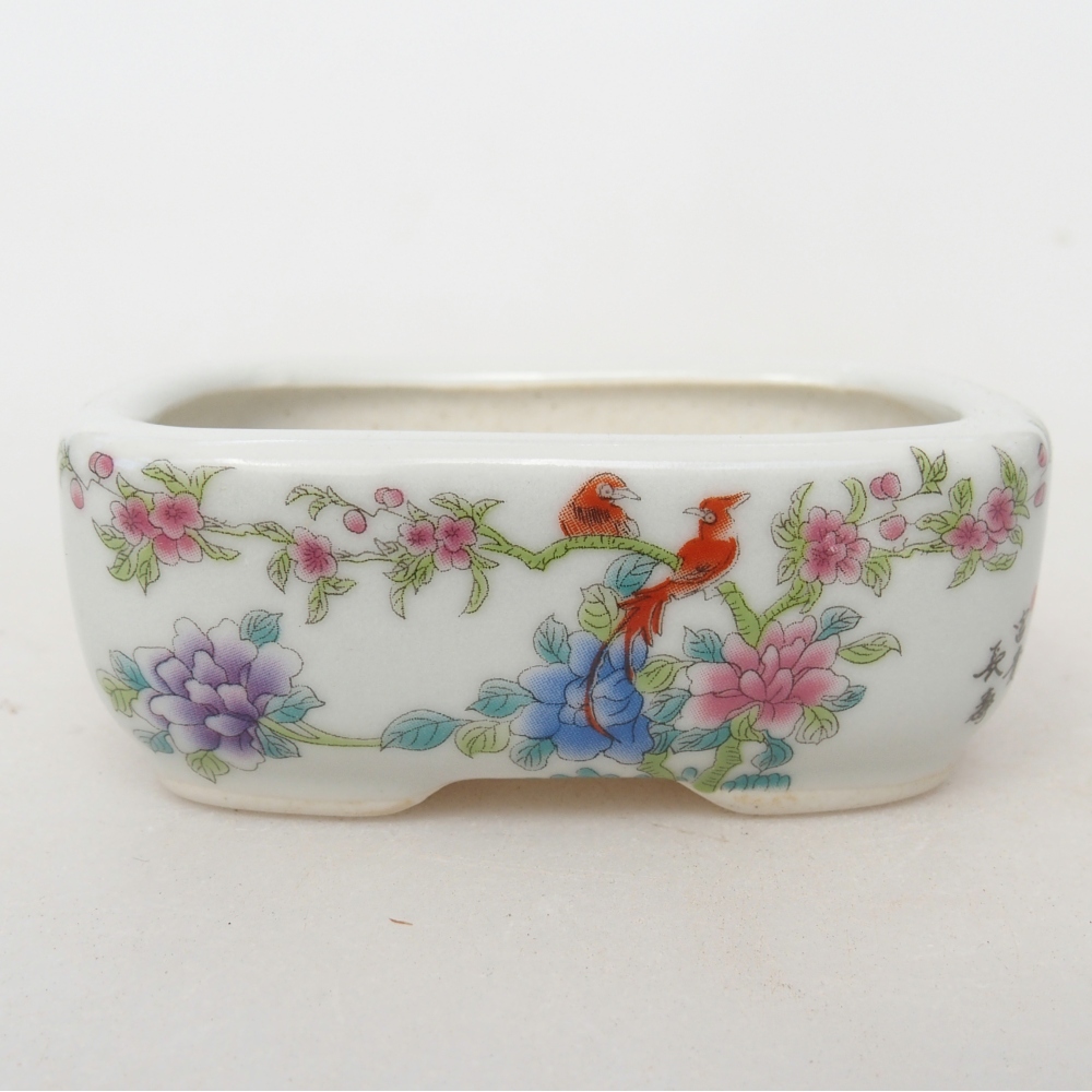 Mini bonsaischaal 8 x 6 x 3 cm, wit