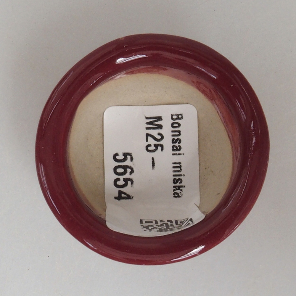 Mini bonsaischaal 4 x 4 x 2 cm, bordeauxrood