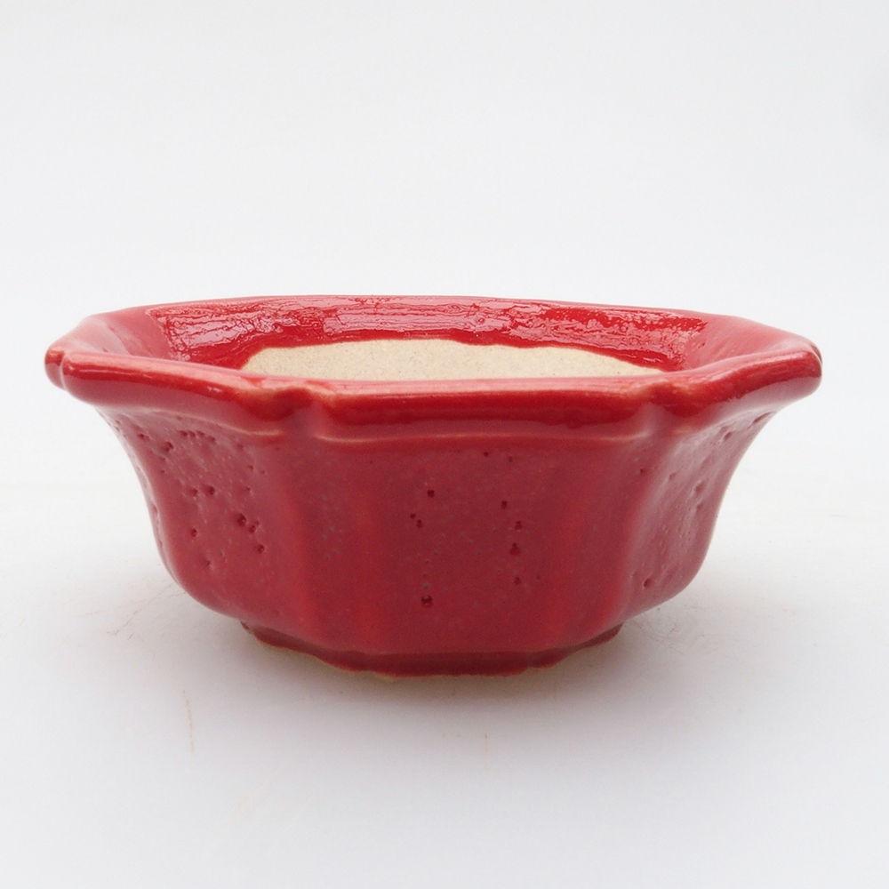 Mini bonsaischaal 6 x 6 x 2 cm, kleur rood