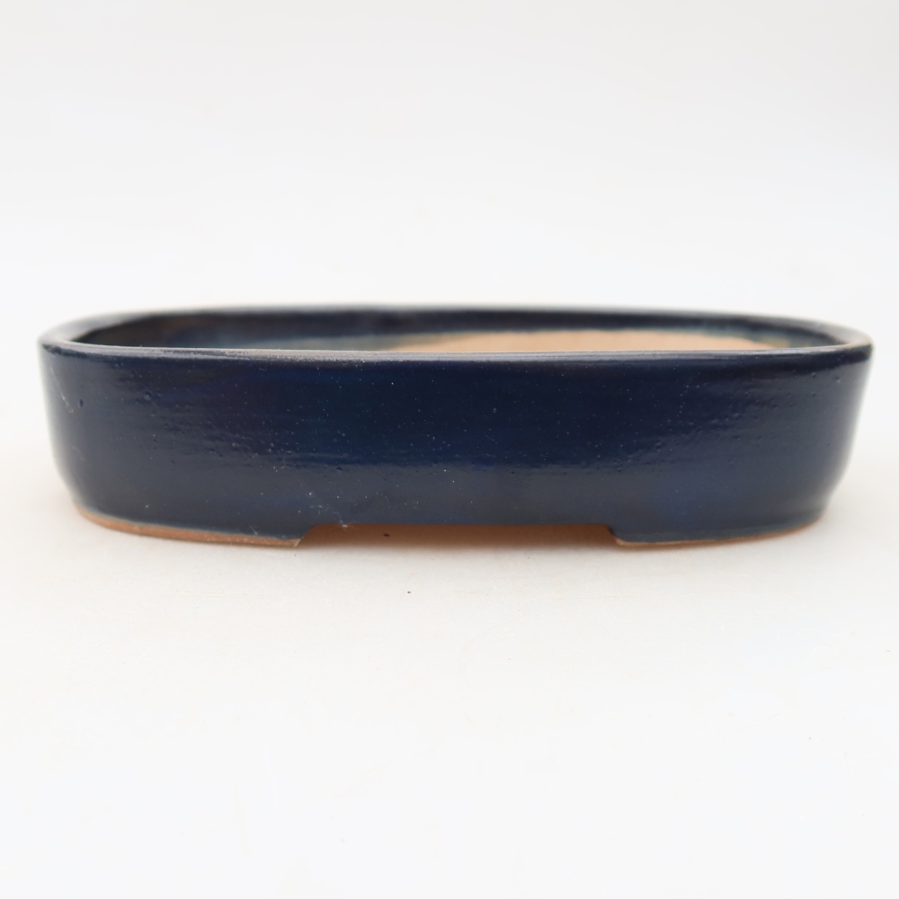 Bonsaischaal van keramiek 16 x 11 x 3,5 cm, kleur blauw