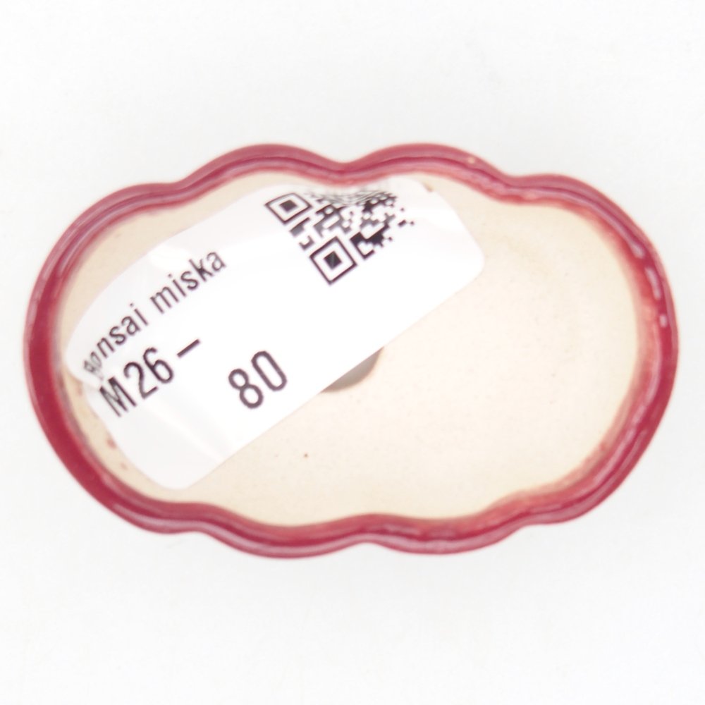 Mini bonsaischaal 5,5 x 3,5 x 1,5 cm, bordeauxrood