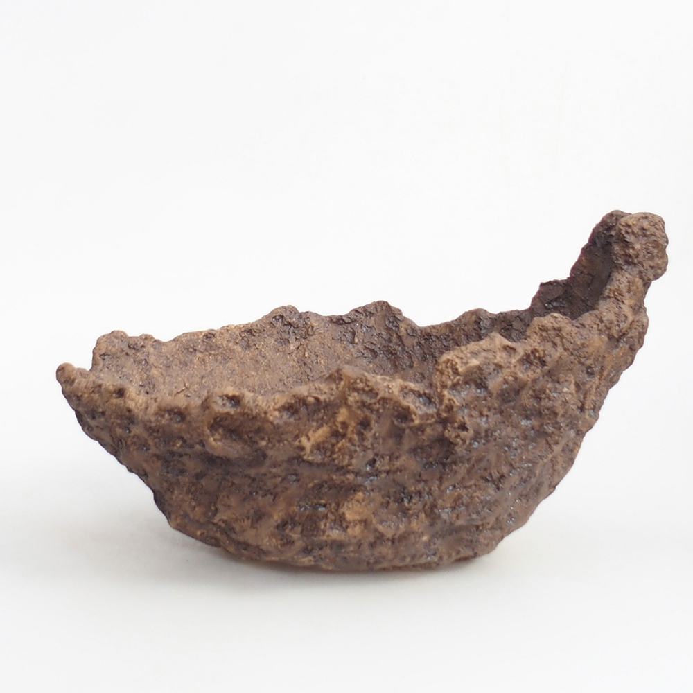 Keramisch Schelp 24 x 20 x 16,5 cm , kleur bruin