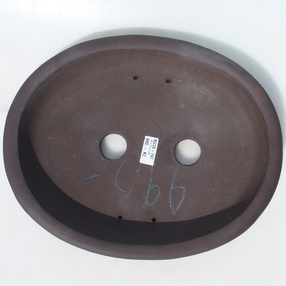 Bonsaischaal 38 x 21 x 5 cm berken bruin