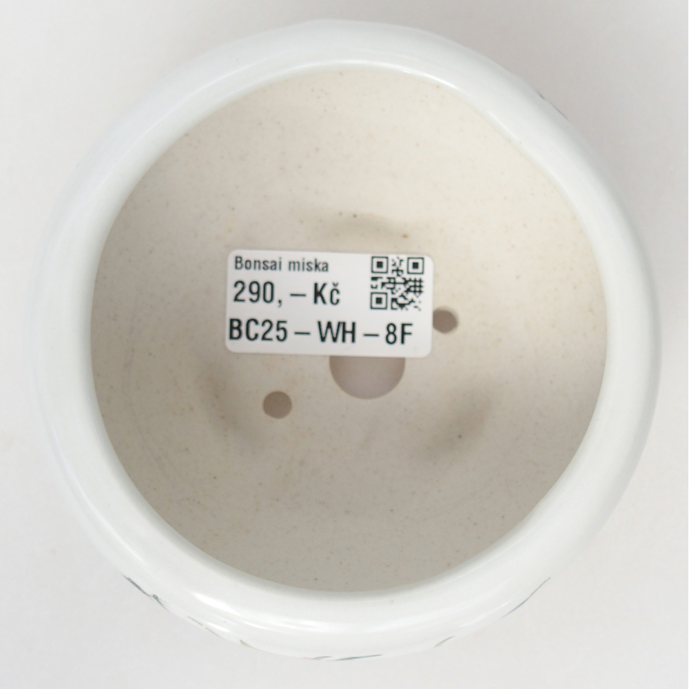 Bonsaischaal van keramiek 10 x 10 x 5 cm, kleur wit