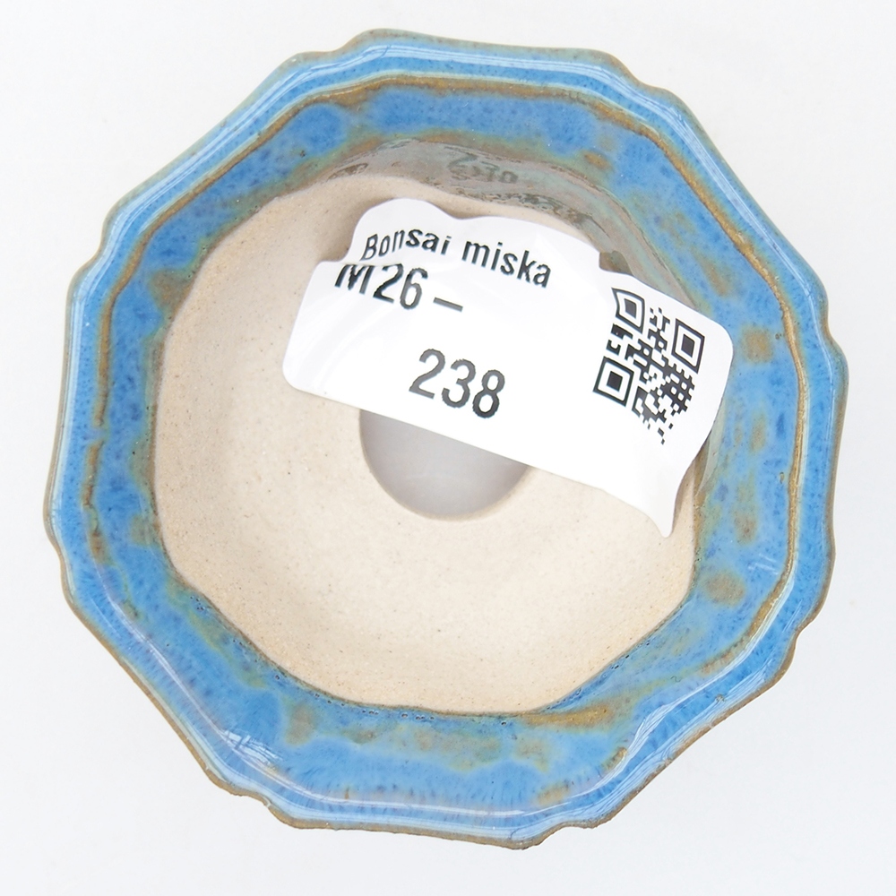Mini bonsaischaal 6 x 6 x 2,5 cm, kleur blauw