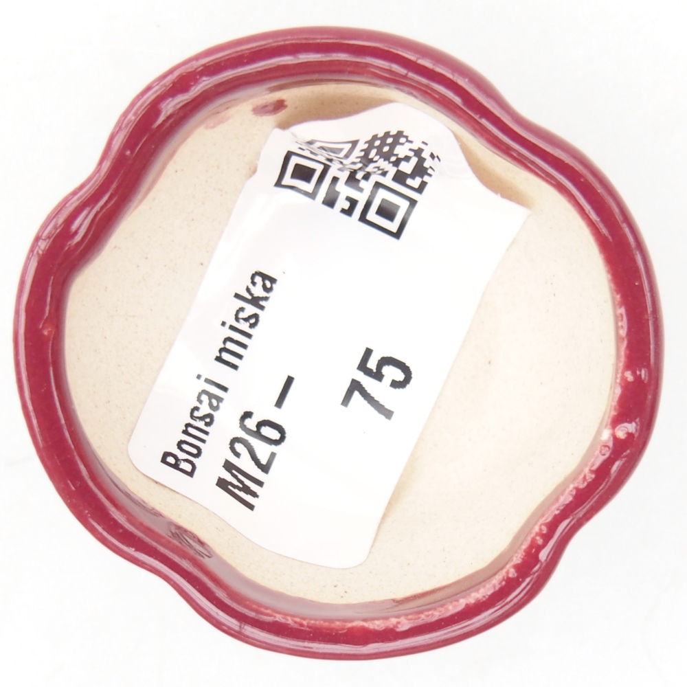 Mini bonsaischaal 4 x 4 x 2 cm, bordeauxrood
