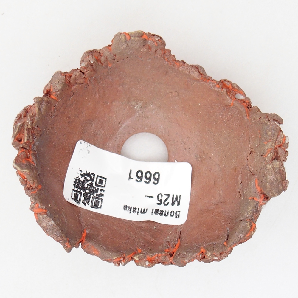 Keramisch Schelp 7,5 x 6,5 x 3,5 cm , kleur oranje