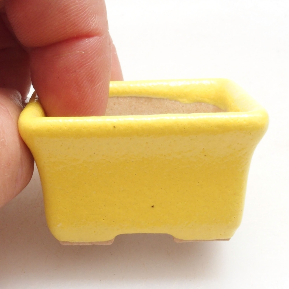 Bonsaischaaltje van keramiek 4 x 3,5 x 2,5 cm, geel