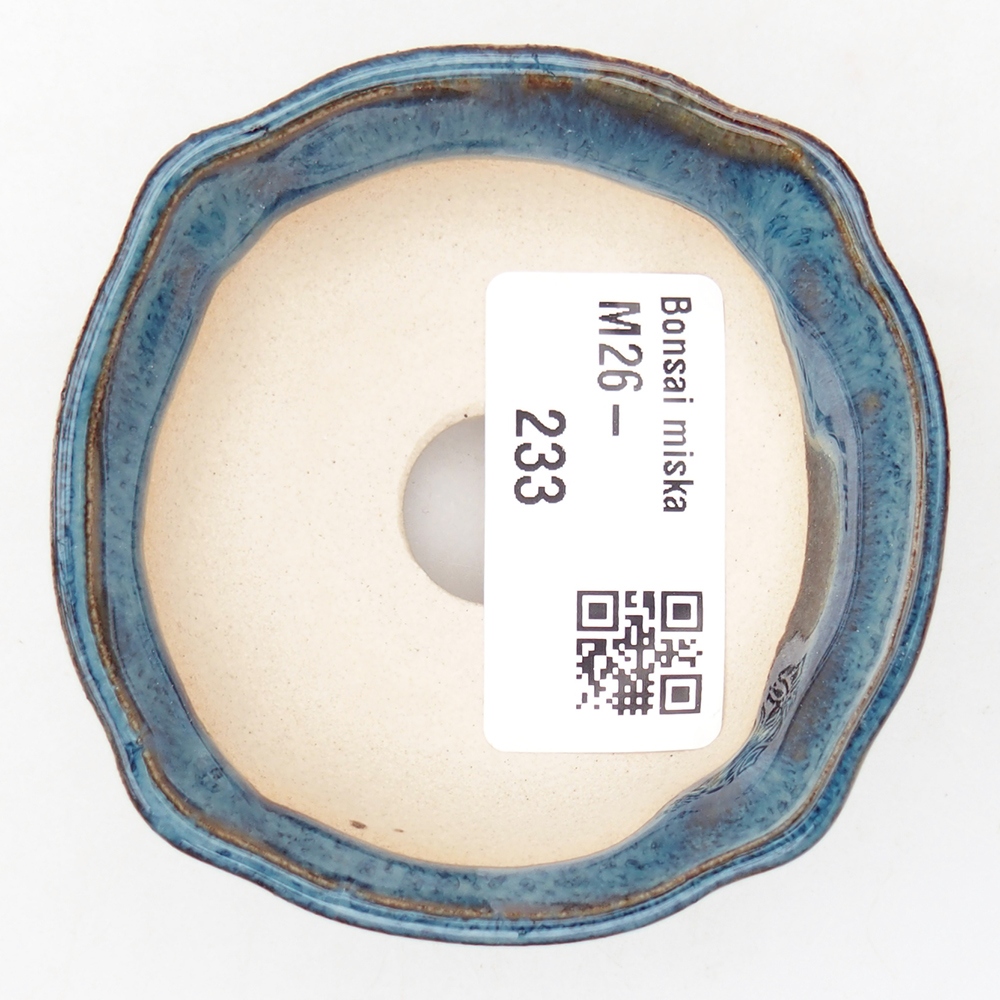 Mini bonsaischaal 6,5 x 6,5 x 2,5 cm, kleur blauw