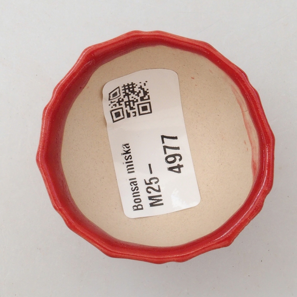 Mini bonsaischaal 5 x 5 x 3 cm, kleur rood