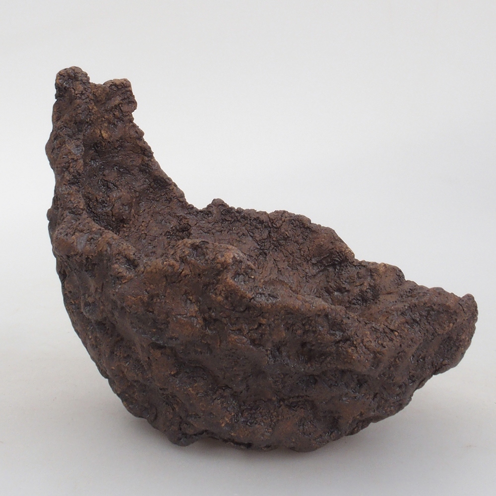 Keramisch Schelp 13 x 10,5 x 12,5 cm , kleur bruin